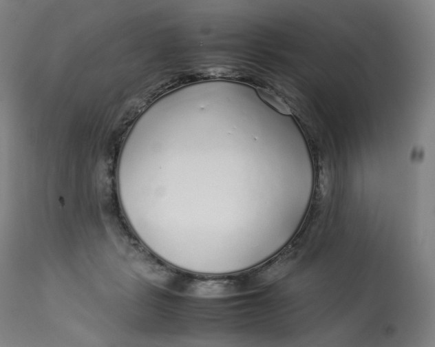 X0000112750461200909171230