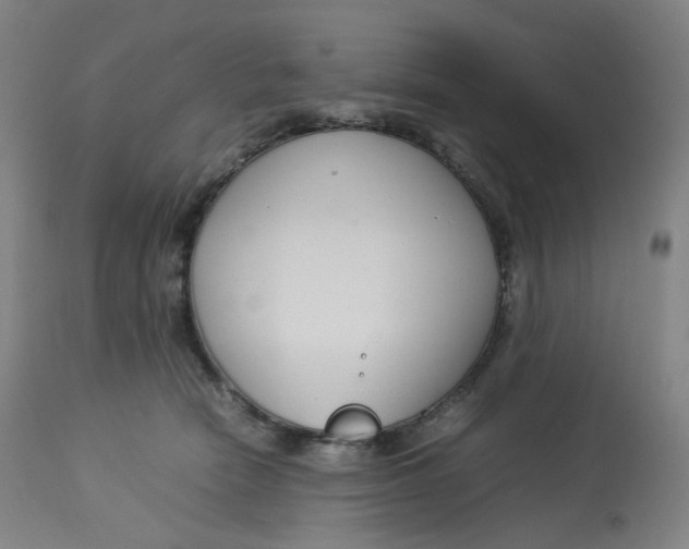 X0000112750466200909171230