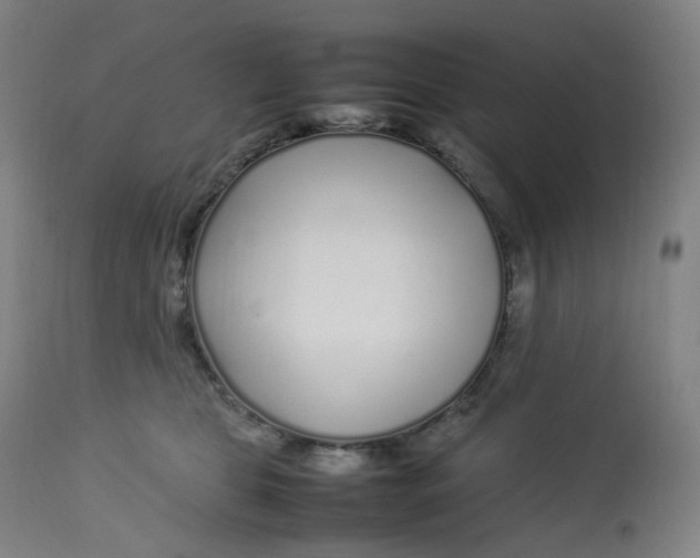 X0000112750469200909171230