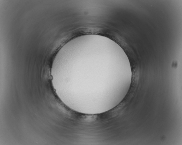 X0000112750474200909171230