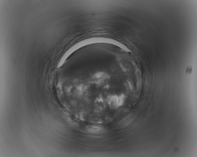 X0000112750475200909171230