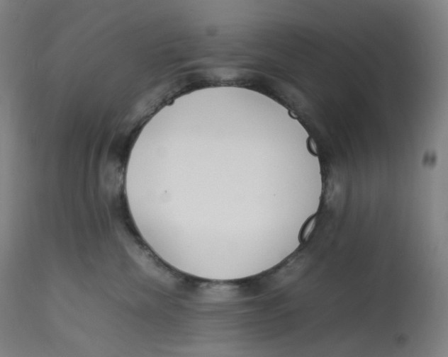 X0000112750476200909171230