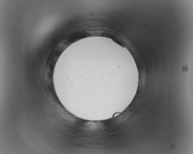 X0000112750477200909171230