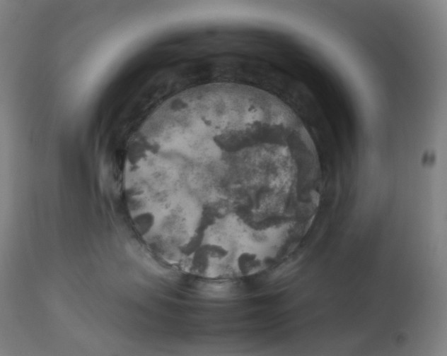 X0000112750479200909171230