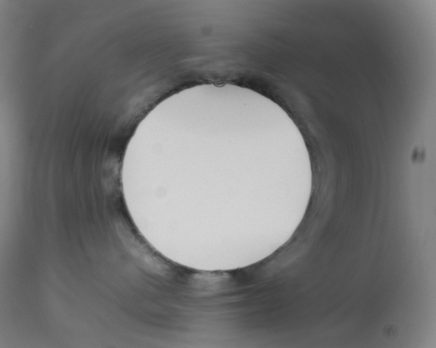 X0000112750480200909171230