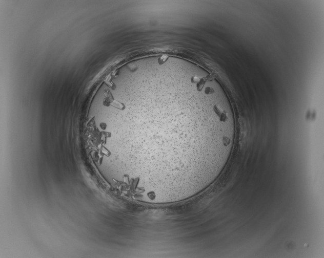 X0000112750482200909171230