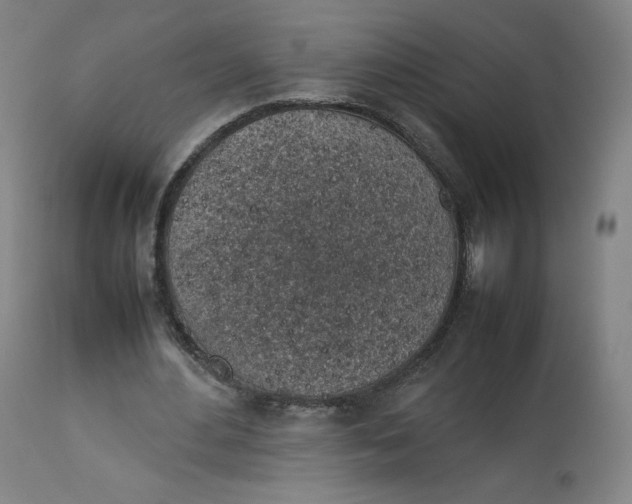 X0000112750484200909171230