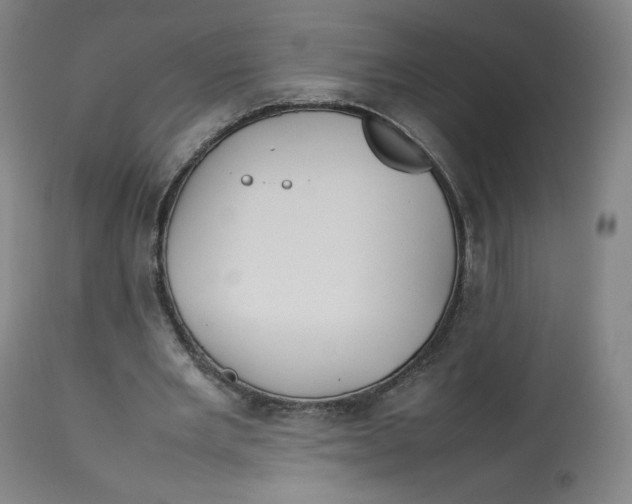 X0000112750485200909171230