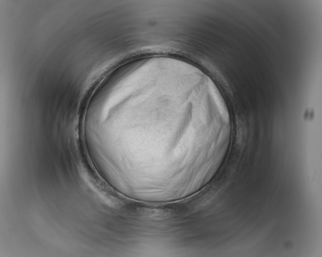 X0000112750486200909171230