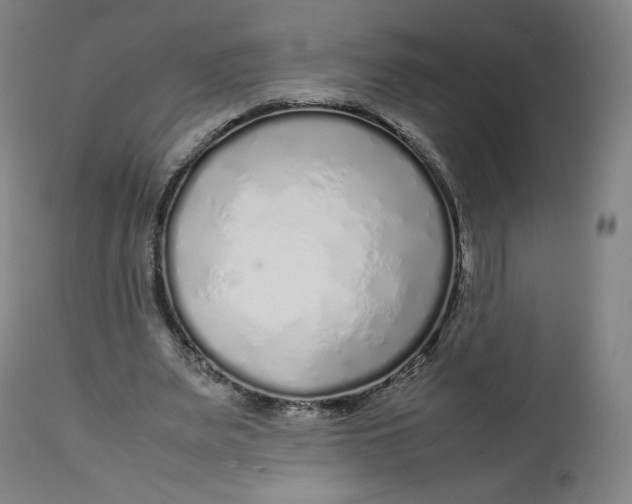 X0000112750487200909171230