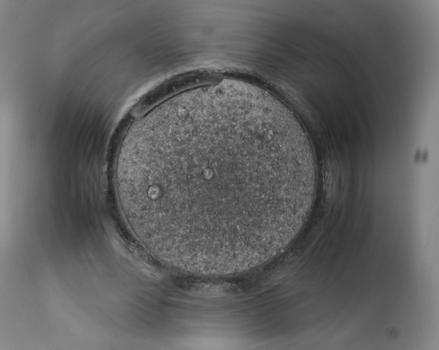 X0000112750488200909171230