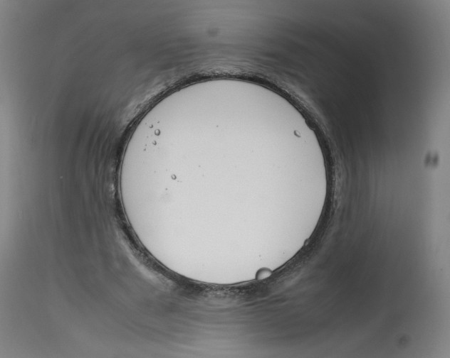 X0000112750489200909171230