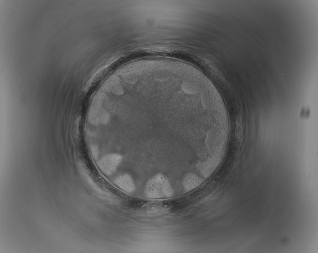 X0000112750491200909171229