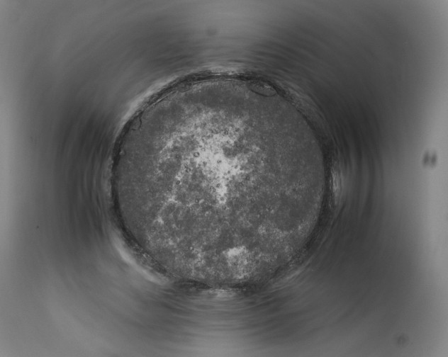 X0000112750492200909171229