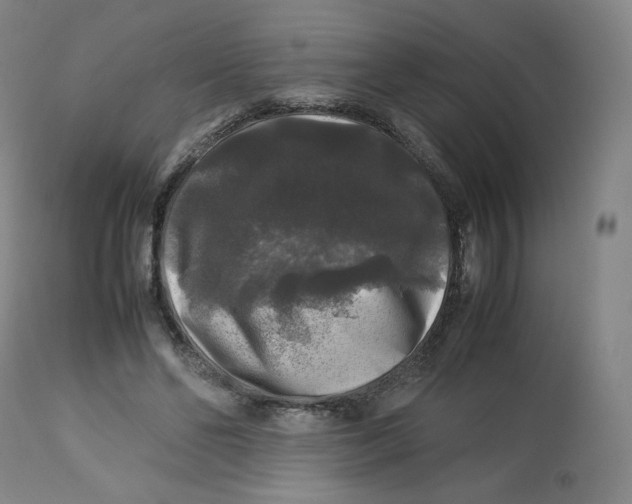 X0000112750494200909171229