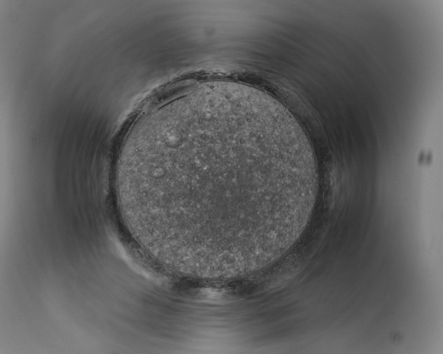 X0000112750496200909171229