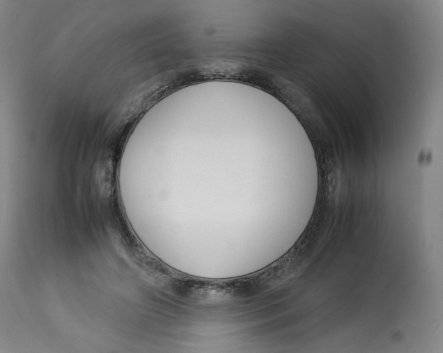 X0000112750498200909171229