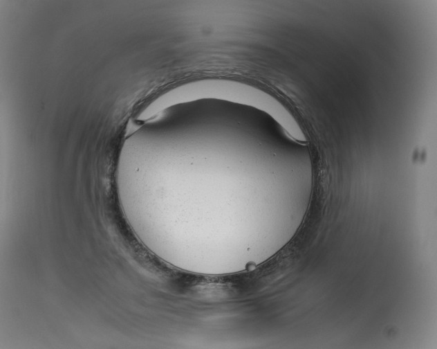 X0000112750499200909171229