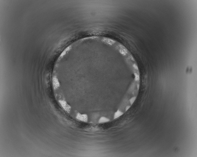 X0000112750503200909171229