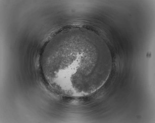 X0000112750504200909171229