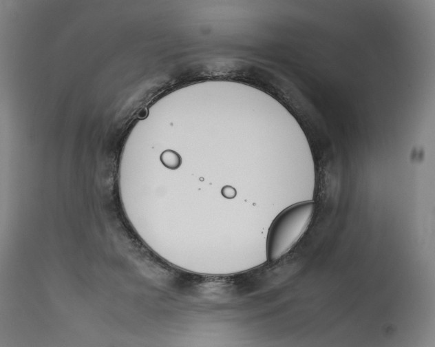 X0000112750505200909171229