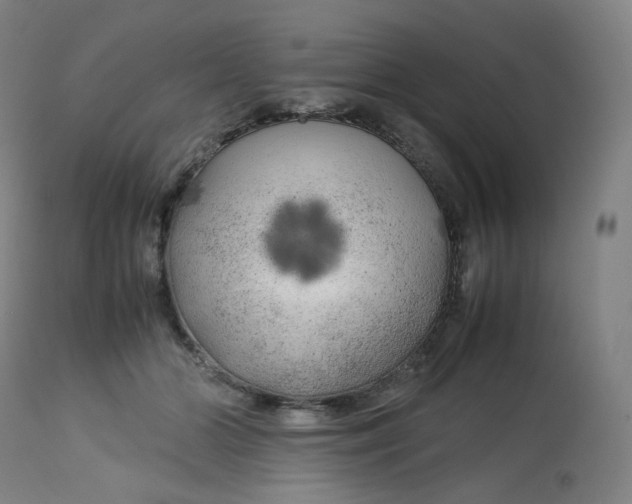 X0000112750510200909171229