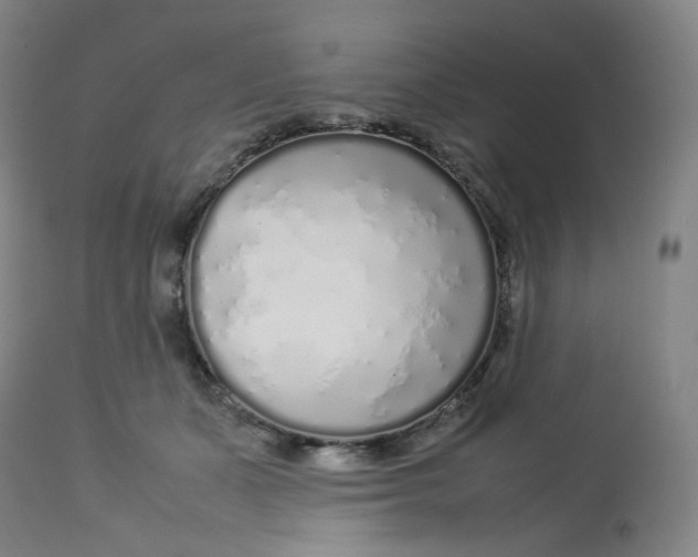 X0000112750511200909171229