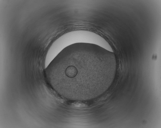 X0000112750512200909171229