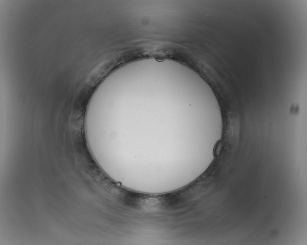 X0000112750513200909171229