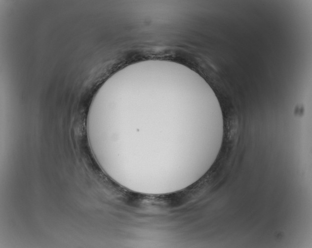 X0000112750515200909171229