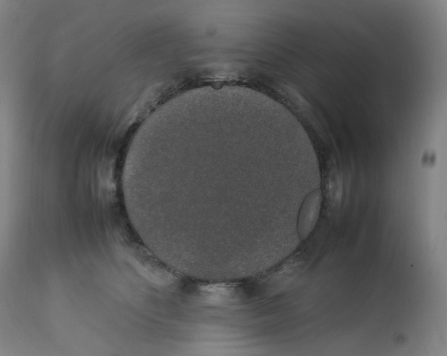 X0000112750516200909171229