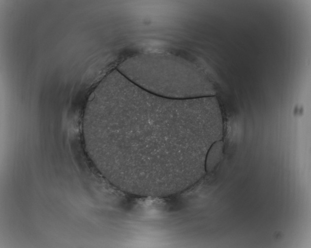 X0000112750517200909171229