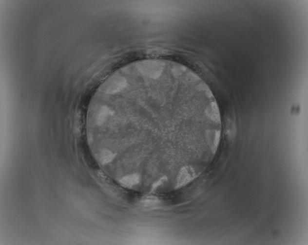 X0000112750519200909171229