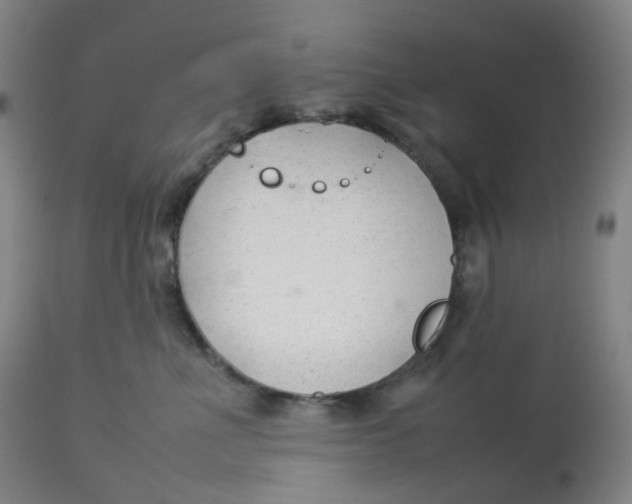 X0000112750523200909171229