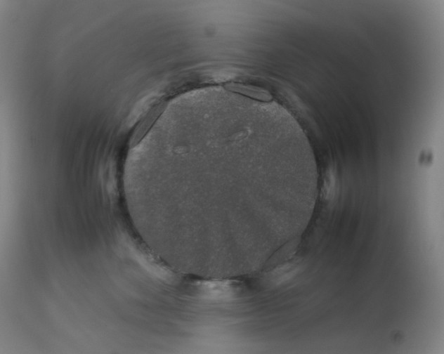 X0000112750524200909171229