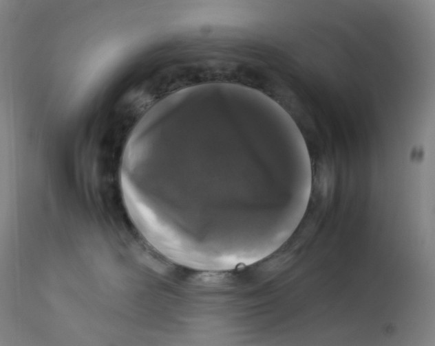 X0000112750526200909171229