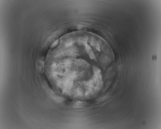 X0000112750527200909171229