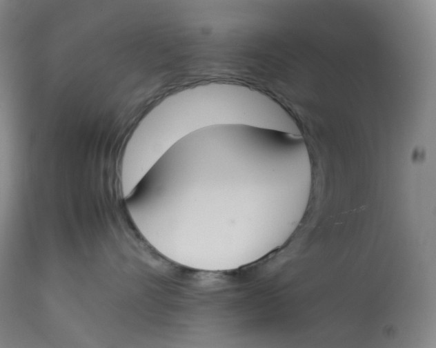 X0000112750528200909171229