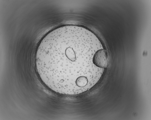 X0000112750529200909171228