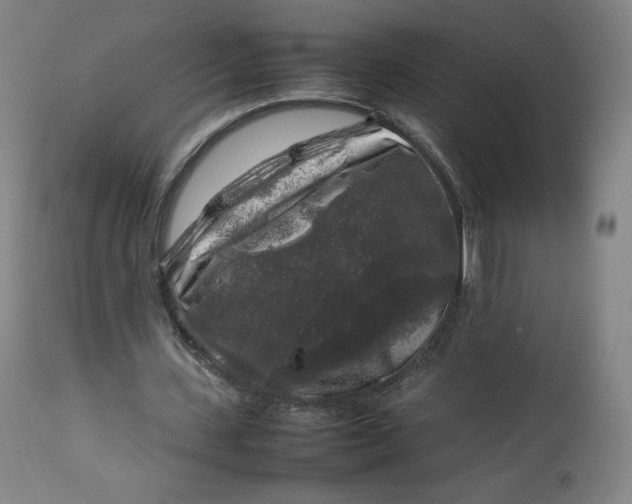 X0000112750531200909171228