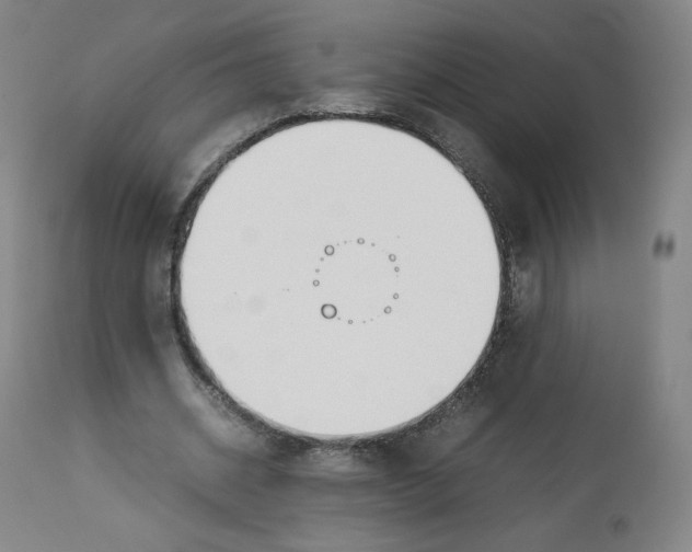 X0000112750534200909171228