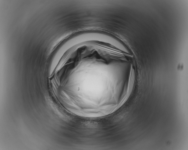 X0000112750535200909171228