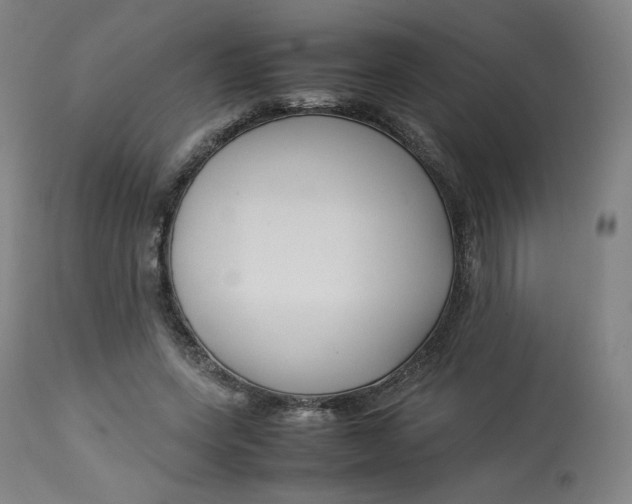 X0000112750543200909171229