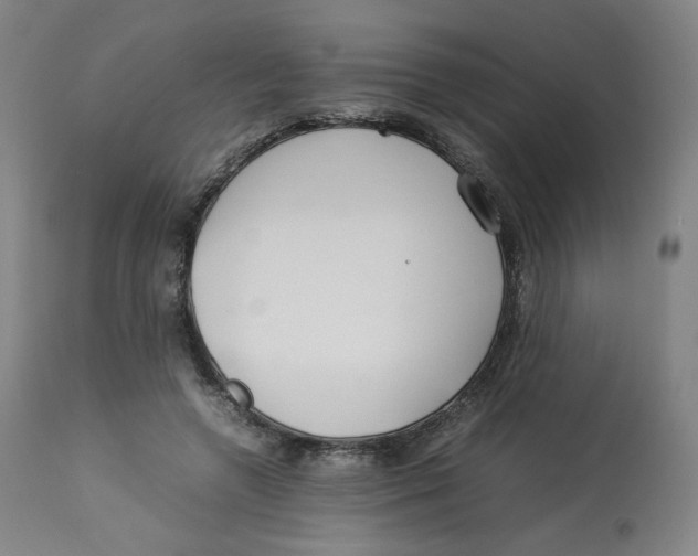 X0000112750546200909171229