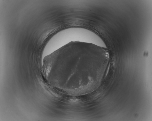 X0000112750547200909171229