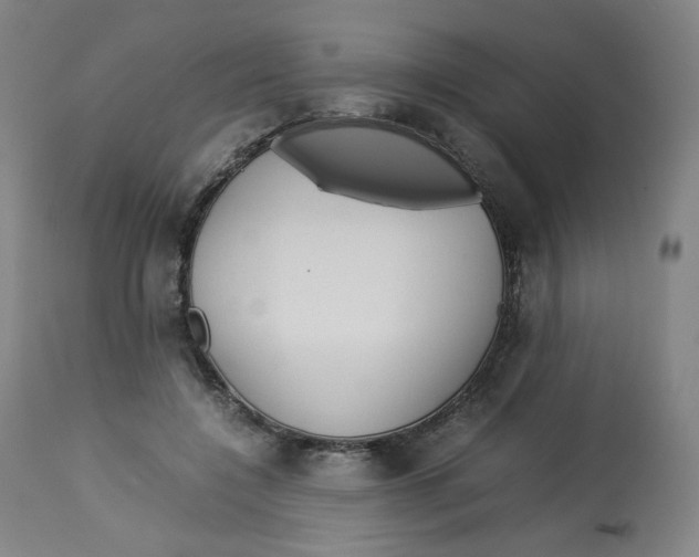 X0000112750548200909171229