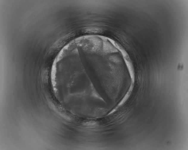 X0000112750551200909171229