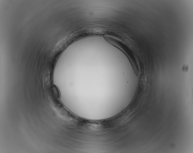 X0000112750552200909171229