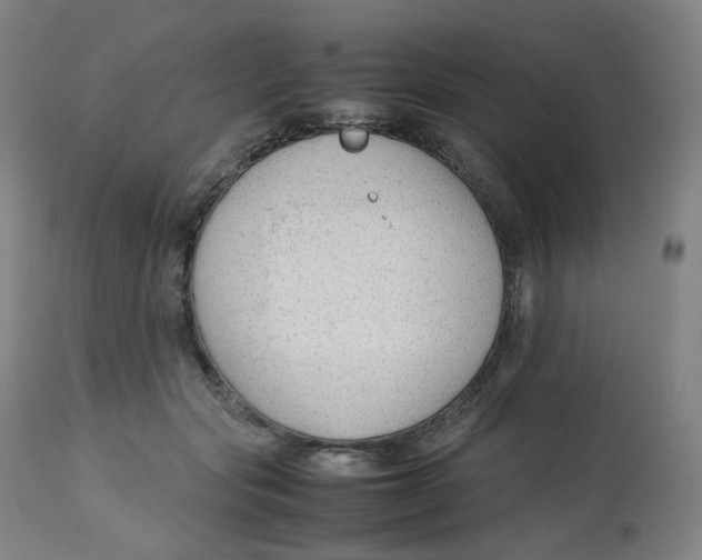 X0000112750557200909171229