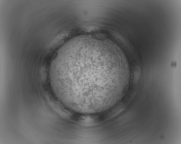 X0000112750558200909171229